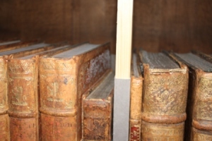 Mould growth is clearly visible with the naked eye on the front cover of the folio on the left
